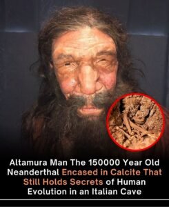 The 130,000-Year-Old Neanderthal Hidden Inside an Italian Cave - photo 232