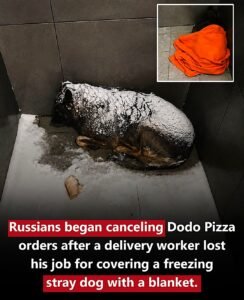 He Just Wanted to Keep a Stray Dog Warm  Then Everything Changed - photo 211