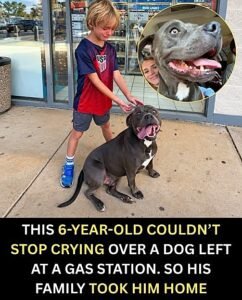 The Little Boy Who Couldnt Stop Crying After Meeting a Dog Left Alone at a Gas Station - photo 133