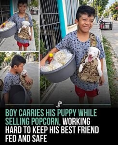 For Lalo, his puppy is not simply a pet. He is his best friend.His little companion.And someone Lalo feels res - photo 177