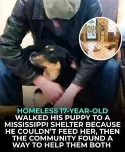 He was only 17 years old. He had almost nothing of his own. No safe home. No steady income. - photo 171