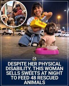 Every Night, She Sells Sweets So 48 Rescued Animals Can Eat - photo 152