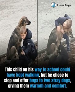 He Was Already Late for School. Then He Saw Two Stray Dogsand Stopped. - photo 150