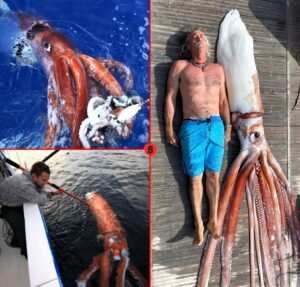Far beneath the oceans surface, in a world where sunlight almost completely disappears, lives one of the most - photo 123