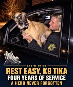 K-9 Tikas Final Goodbye The Brave Hero Who Gave Everything to Protect Others - photo 128