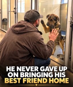HE REPORTEDLY LIVED IN HIS TRUCK FOR MONTHS SO HE COULD BRING HIS DOG HOME AGAIN - photo 116