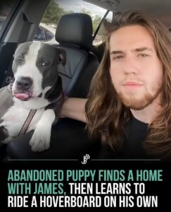 He Was Abandoned as a Puppy  Then He Found a Human Who Turned Every Day Into an Adventure - photo 102