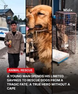 He Spends His Own Money to Save Dogs From a Tragic Fate One Life at a Time - photo 108