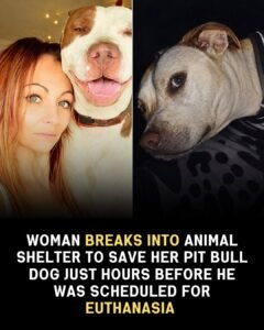 She Broke Into the Shelter Because She Couldnt Leave Her Dog Behind - photo 84