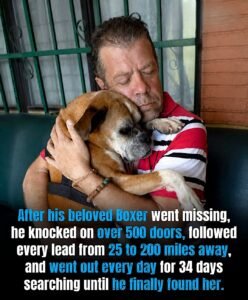 Nine years ago, Ramn found a frightened dog on the side of a road in Costa Rica - photo 69