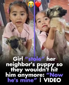 The little girl refused to let go when she thought the puppy was in danger - photo 76