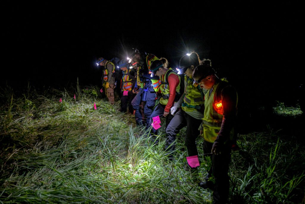 Search and rescue volunteers with headlamps searching a field at night for a missing person